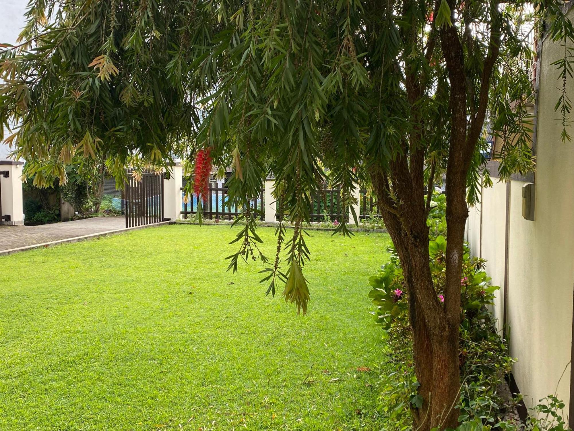 Villa Cassandra Νουβάρα Ελίγια Εξωτερικό φωτογραφία